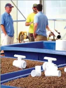  ?? Photo by Randy Moll ?? With growing beds and plastic pipe fittings in the foreground, members of the Symbiotic Aquaponic team discuss aspects of the system installati­on at a greenhouse at Gentry High School last week. The closed system will allow students to grow plants and...