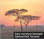  ??  ?? Early morning in Serengeti National Park, Tanzania