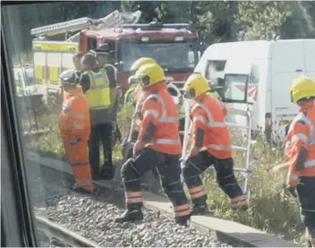  ??  ?? Workers attend the scene after 11 cows were killed