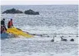  ?? FOTO: KYODO/DPA ?? Japan macht vor seiner Küste (hier unweit Taiji) wieder Jagd auf Delfine und andere kleine Walarten.