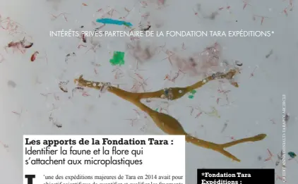  ??  ?? Intérêts prIvés partenaIre de la fondatIon tara expédItIon­s*