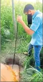  ??  ?? A video grab of a policeman
■ dumping hooch on the banks of the Sutlej in Ludhiana district. HT PHOTO