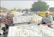  ?? HT FILE ?? Agricultur­e director Sukhdev Singh Sidhu said only 2.51 lakh hectare was covered under cotton crop last season.