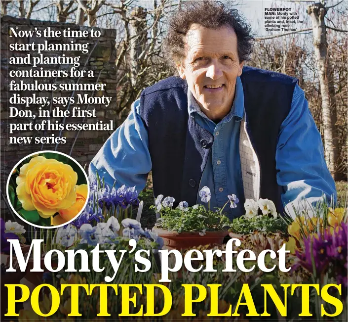  ??  ?? flowerpot man: Monty with some of his potted plants and, inset, the climbing rose ‘Graham Thomas’
