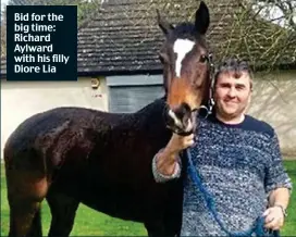  ??  ?? Bid for the big time: Richard Aylward with his filly Diore Lia