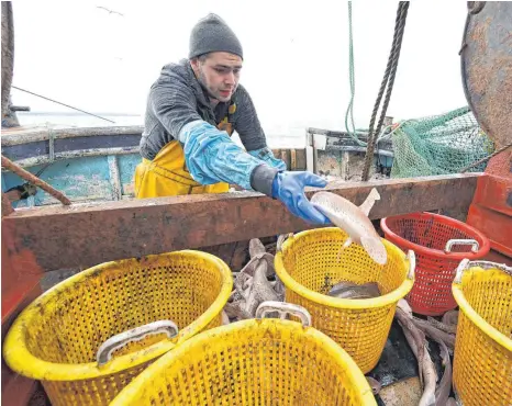  ?? FOTO: GLYN KIRK/AFP ?? Die 8000 Berufsfisc­her in Großbritan­nien sind stark vom Handel mit der EU abhängig. Für sie ist ein Brexit-Deal mit der EU existenzie­ll.