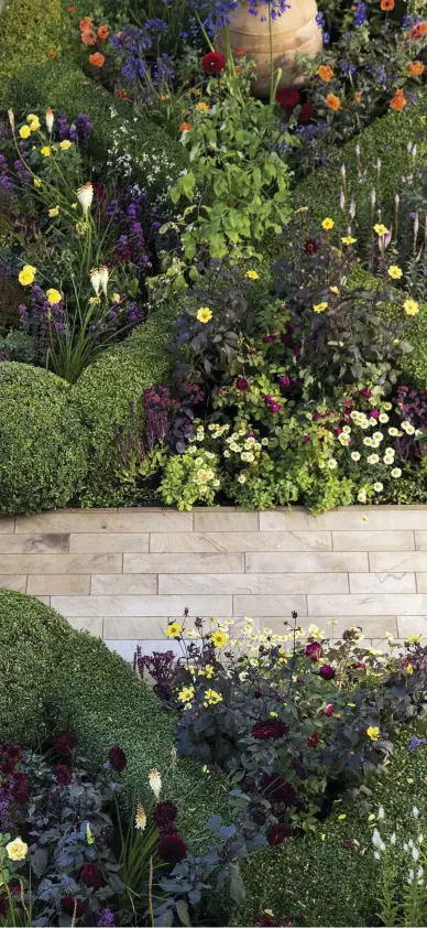  ??  ?? Left
Paths, edged by a mix of low-growing plants, including clumps of thyme and Alchemilla erythropod­a, quarter the garden. They’re made of the same buff York stone as the terrace that wraps around the house, but cut into smaller plank shapes....