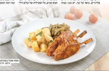  ?? צילום: יח"צ ?? מנת אוכל בצהרון