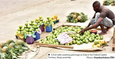  ?? Photo: Onyekachuk­wu ?? A fruit seller awaiting patronage at Zuba in the Federal Capital Territory, Abuja yesterday
Obi