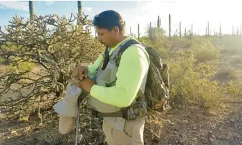  ?? GIOVANNA DELL’ORTO/AP ?? Oscar Andrade prays Sept. 4 in the Ironwood Forest National Monument near Marana, Arizona. Andrade leads Capellanes del Desierto (Desert Chaplains), a group that provides recovery efforts for families of missing migrants.