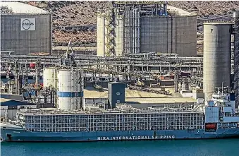  ?? ?? Gulf Livestock 1 sank off the coast of Japan on a journey from Napier to Tangshan in 2020. Below: Livestock on the ship during a July 2019 voyage.