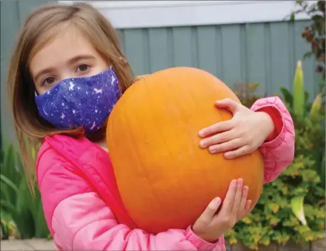  ??  ?? BARB AGUIAR/ Westside Weekly
Olive Beckett finds her perfect pumpkin at the Peachland Rotary Club’s Pumpkin Patch event Saturday at the Peachland Baptist Church. Story and more photos on page 4.