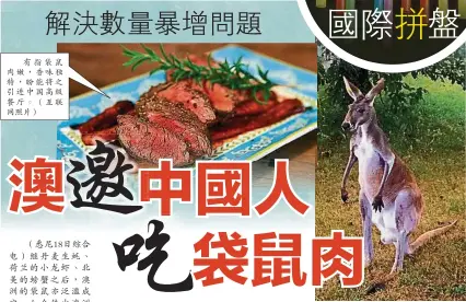  ??  ?? 有指袋鼠肉嫩，香味獨特，盼能將之引進中國高級­餐廳。（互聯網照片）