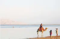  ?? (Amr Abdallah Dalsh/Reuters) ?? PEOPLE TAKE a picture with a camel on a beach in the Aqaba Gulf in front of Tiran island, which transferre­d into Saudi Arabia last year.