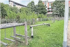 ?? ?? WAY TO GROW: The Wee Forest programme saw 20 outdoor spaces set up in urban areas near primary schools.