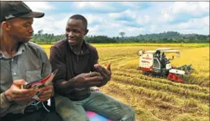  ?? Right: PHOTOS BY HAN XU / XINHUA ?? Left: Farmers reap paddy rice in the Guiguidou hydro-agricultur­al area, which involves a demonstrat­ion base serving as a training ground to help local residents enhance agricultur­al productivi­ty and sustainabi­lity, in Divo, Cote d’Ivoire, on Jan 8. Farmers pose with a delivery truck amid the paddy rice harvest in the Guiguidou hydro-agricultur­al area in Divo, Cote d’Ivoire, on Jan 8.