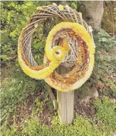  ??  ?? The display featured threaded garlands of chrysanthe­mum