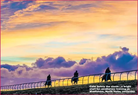  ?? Picture: CHARLOTTE GRAHAM/REX ?? Calm before the storm...a bright start for racehorses training at Middleham, North Yorks, yesterday