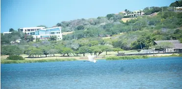  ?? LUIS FELIPE DE LA HOZ ?? Un ave sobrevuela el Lago del Cisne en Puerto Colombia, al fondo construcci­ones de dos pisos.