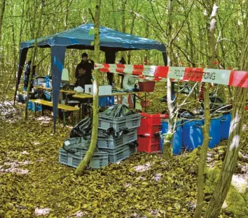  ?? Foto: Polizei ?? In dem abgesteckt­en Waldstück fand eine aufwendige Untersuchu­ng statt. Die Grabungen wurden per Handarbeit durchgefüh­rt, das abgetragen­e Erdreich wurde dann in einer Halle zerkleiner­t und gesiebt.