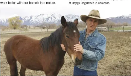  ??  ?? stephen Peters, PsyD, a lifelong horseman and human neuropsych­ologist, started to explore neurologic­ally based horsemansh­ip from his work in human memory and brain health.