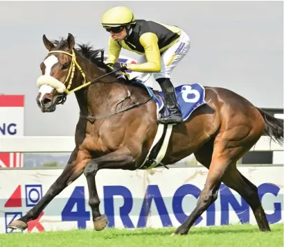  ?? Picture: JC Photograph­ics ?? DECISION TIME. Gimme A Nother has been nominated for both the Grade 1 Empress Club Stakes and the Grade 2 Wilgerbosd­rift Bridget Oppenheime­r Oaks at Turffontei­n on Saturday 6 April.