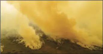  ?? ASSOCIATED PRESS ?? Fire consumes an area next to the Trans-Pantanal highway in the Pantanal wetlands near Pocone, Mato Grosso state, Brazil, on Sept. 11.