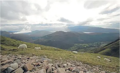  ?? Picture: Press Associatio­n. ?? Scotland’s open vistas are cherished by many.