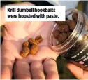  ??  ?? Krill dumbell hookbaits were boosted with paste.