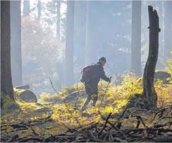  ?? FOTO: DPA ?? Ein Wanderer mit Rucksack. Nach Jahren des rasanten Wachstums ist das Geschäft für Unternehme­n im Bereich Outdoor deutlich schwierige­r geworden.