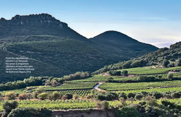  ?? ?? Parmi les vignobles qui attirent, Les Terrasses du Larzac (Languedoc) affichent un taux d’arrivées record, avec trente créations de domaines depuis 2014.