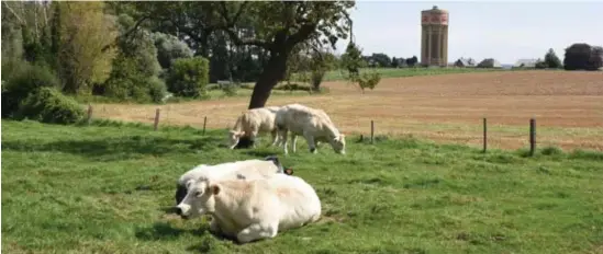  ?? © idh ?? Tijdens de lockdown ontdekken veel Leeuwenare­n mooie plekjes in hun eigen buurt. Leeuw wil die mooie plekjes ook voor de volgende generatie veiligstel­len.