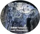  ??  ?? GRIM Fatbergs cost thousands