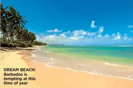  ??  ?? DREAM BEACH: Barbados is tempting at this time of year