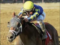  ?? PHOTO SPENCER TULIS ?? Sombeyay wins the 104th Running of the Sanford for 2 year ols at Saratoga Race Course Saturday.