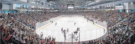  ?? BROCK UNIVERSITY ?? Meridian Centre in St. Catharines will be a sea of Brock red tonight when the Badgers host Guelph in men's exhibition hockey action.