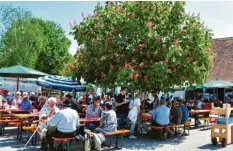  ??  ?? Zu einem gelungenen Fest gehört auch ein schöner Biergarten – wie hier im Rosingerho­f.