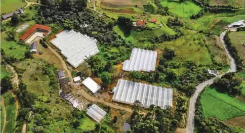  ?? FOTO GOBERNACIÓ­N DE ANTIOQUIA ?? La Ciudadela Agroecológ­ica fue inaugurada hace un año ocupando 10.000 metros cuadrados de la Institució­n educativa de la vereda San José.