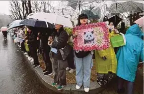  ?? AFP PIC ?? Panda fans waiting for giant panda Fu Bao during a farewell ceremony at Everland amusement park in Yongin, South Korea, yesterday.