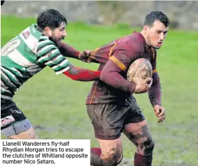  ??  ?? Llanelli Wanderers fly-half Rhydian Morgan tries to escape the clutches of Whitland opposite number Nico Setaro.