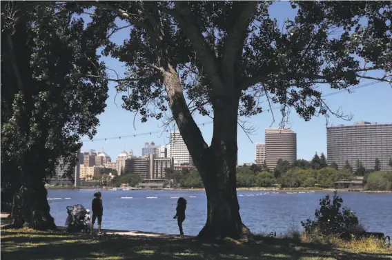  ?? Jessica Christian / The Chronicle ?? Pedestrian­s walk past a tree along Lake Merritt in Oakland where a fake body was found hanging on Lakeshore Avenue. Police and the FBI are investigat­ing.