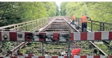  ?? FOTO: MICHAEL IN’T ZANDT (ARCHIV) ?? 2020 arbeiteten die Mitglieder der „Wupperschi­ene“auf der Wupperbrüc­ke zwischen Dahlhausen und Wilhelmsta­l.