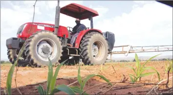  ?? — (Pictures by Innocent Makawa) ?? A worker sprays herbicides to crops at Bulawayo Kraal Irrigation Scheme. The scheme was assisted by First Lady Amai Grace Mugabe.