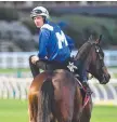  ??  ?? Hugh Bowman riding Winx during track work.