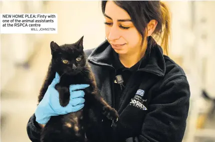  ?? WILL JOHNSTON ?? NEW HOME PLEA: Finty with one of the animal assistants at the RSPCA centre