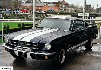  ??  ?? Mustang.