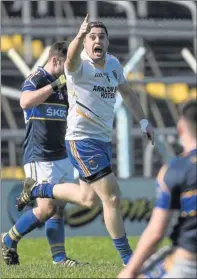  ??  ?? Wicklow’s Seanie Furlong turns from goal after he blasted to the Tipperary net to give Wicklow the lead.