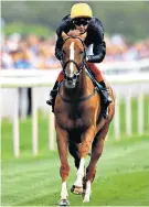  ??  ?? In tune: Stradivari­us has everything in his favour in the Ascot Gold Cup