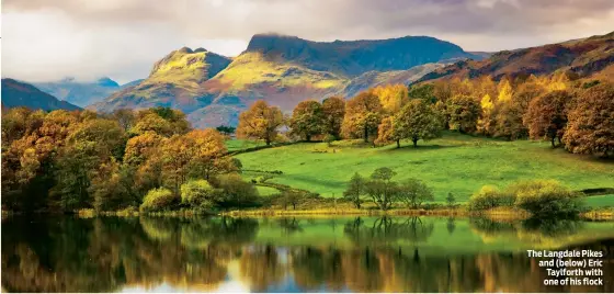  ??  ?? The Langdale Pikes and (below) Eric Taylforth with one of his flock