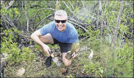  ?? Fernando bretos photo ?? Reporter Steve MacNaull plants cord grass in the mangrove along the Oleta River in Miami as part of the Frost Museum of Science’s Museum Volunteers for the Environmen­t (MUVE) program.